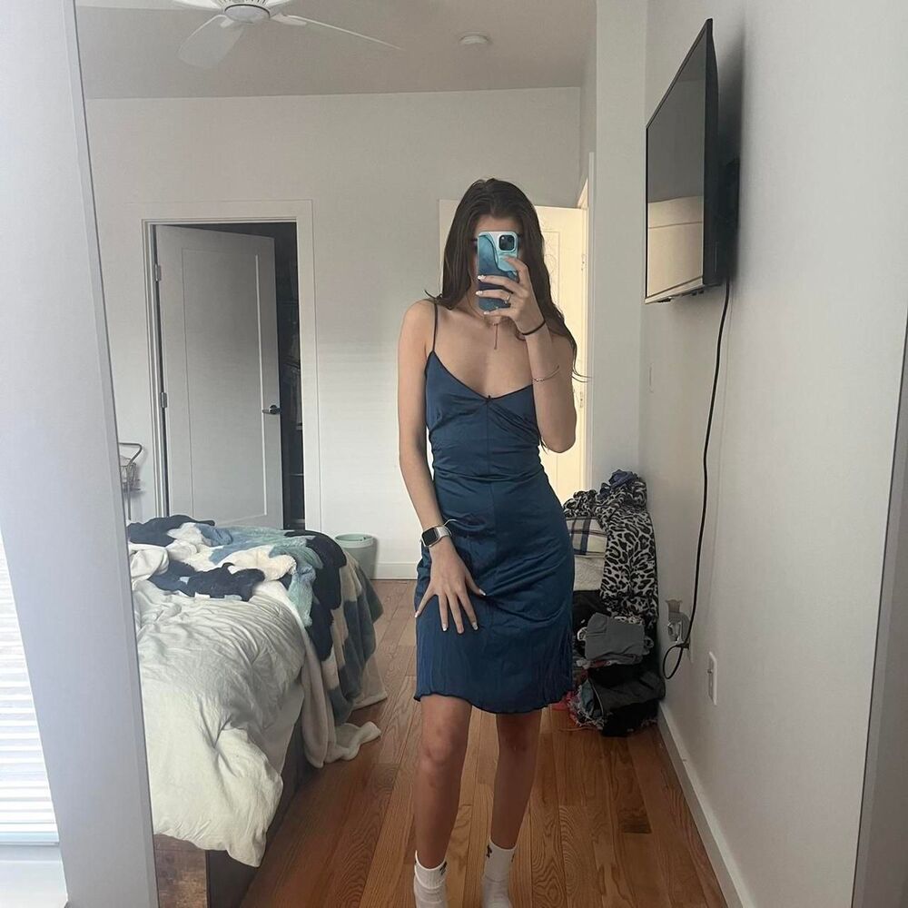 Sears Women's Blue and White Dress